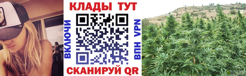 Псилоцибиновые грибы Черкесск