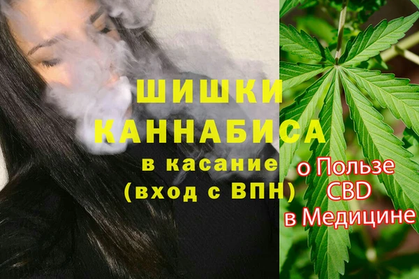 кокс Гусев