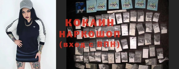 молекула духа Гусиноозёрск