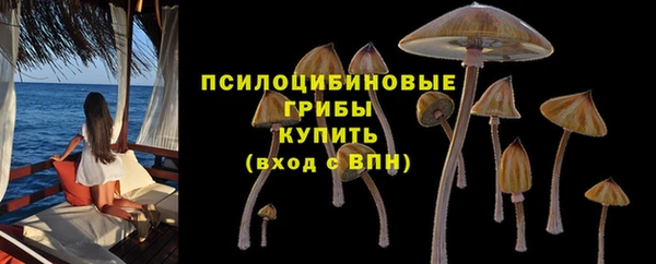 кокс Гусев