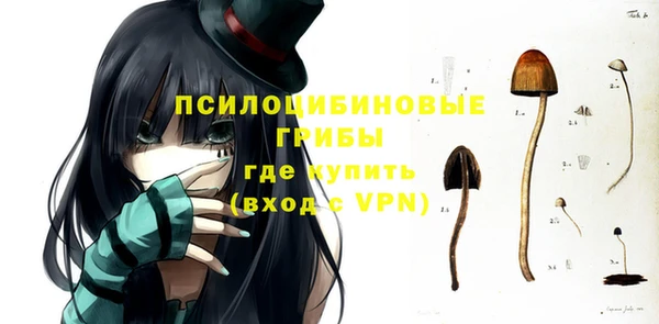 кокс Гусев