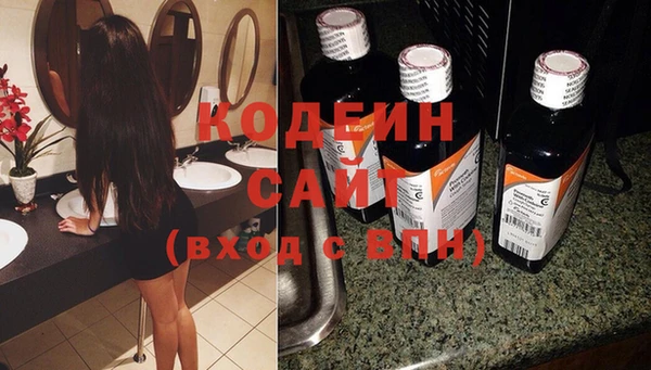 молекула духа Гусиноозёрск