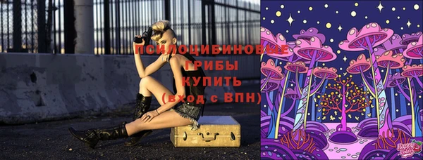 кокс Гусев