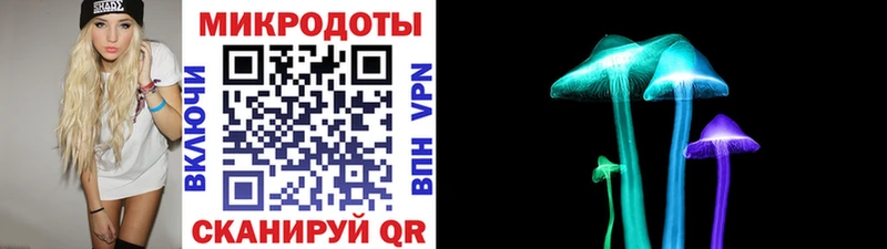 мориарти клад  Черкесск  Галлюциногенные грибы мицелий 